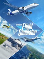 title microsoft flight simulator